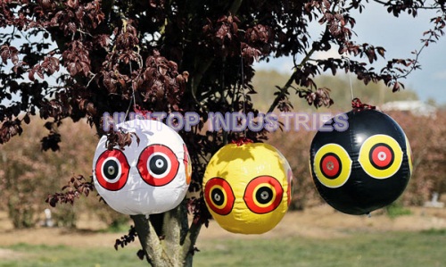 Scare Eye Balloon Bird